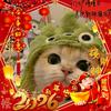 草莓果