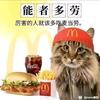 粉色红头龟