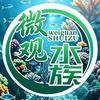 微观水世界