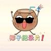 椰子纪录片