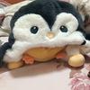 红尘中一俗人