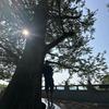兼济三州