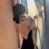 梅梅甜奶起司