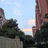 我爱运动