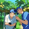 张伟&新农夫·青野田园