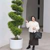 资阳市雁江区陈洪英经纪服务部