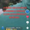 高品质生态鱼陈伟