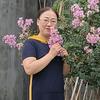喜上梅梢