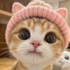 莫嗷猫（接🥚）