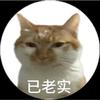 现代战争4预购Beta