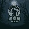 迷蹤謎