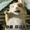 寒翎（三角洲行动）
