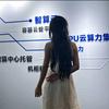 一颗小算苗