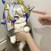 ZD自由如风