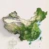 阿政龙鱼