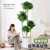 美森绿植艺园