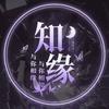 知缘🫧点唱音乐/新厅待冠