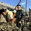 98年养牛小伙
