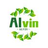 Alvin 原创视频