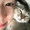 盗琴音