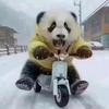 我是康康