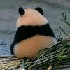 U趣故事汇