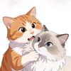 胖砣是两只猫