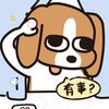 🙈🙊🙉