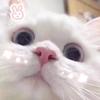 由之