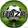 绿茵之巅⚽️