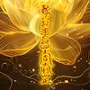 温先生（万象更新）