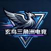 玄鸟三角洲电竞