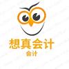 想真会计
