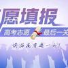 志愿填报