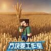 我的世界方块麦工作室（麦兜）