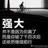 凤凰达 老杨