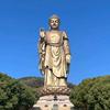 爱德财富