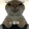 小猫神（扶贫王）