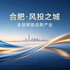 合肥公益助融•大帅