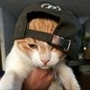 Kisk🅴 hip-hop