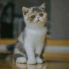 瓜哥资源分享