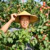 农大果园管理 瓜果蔬菜技术分享