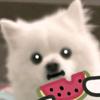 .    ⃢・ u ・⃢    .