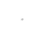 另一类.10