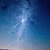 学信培训星星老师