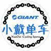 捷安特戴师傅