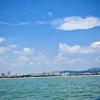 露露Ya