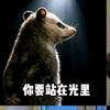 精神状态良好但光会扒我外皮（粘贴版）