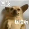 BB(修毛版)