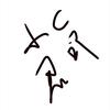 小C君吖